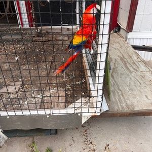 Meet your Posher, Gee